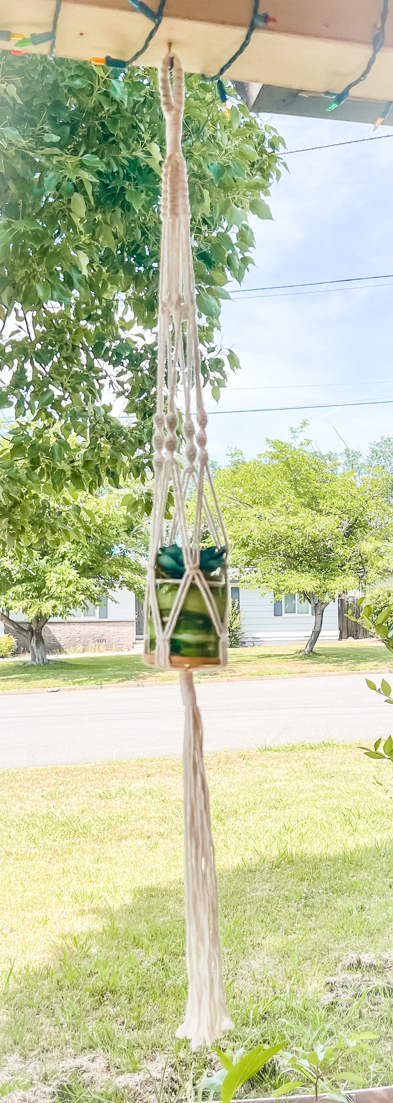 Macramé Plant Hangers