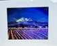 Mt. Shasta & the Lavender Fields Art Print